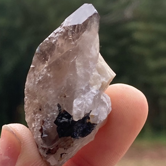 Smoky Quartz with Aegirine from Malawi, South Africa - Picture 3 of 15